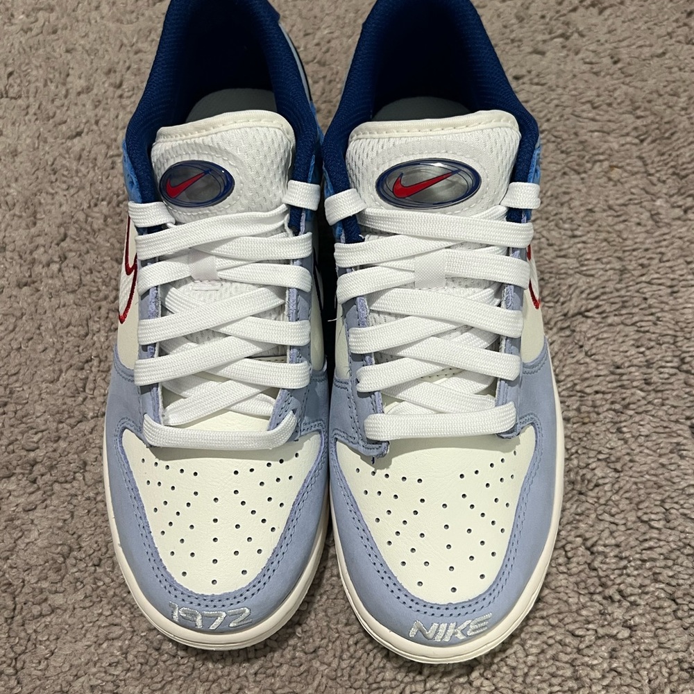 Boys Nike Dunks